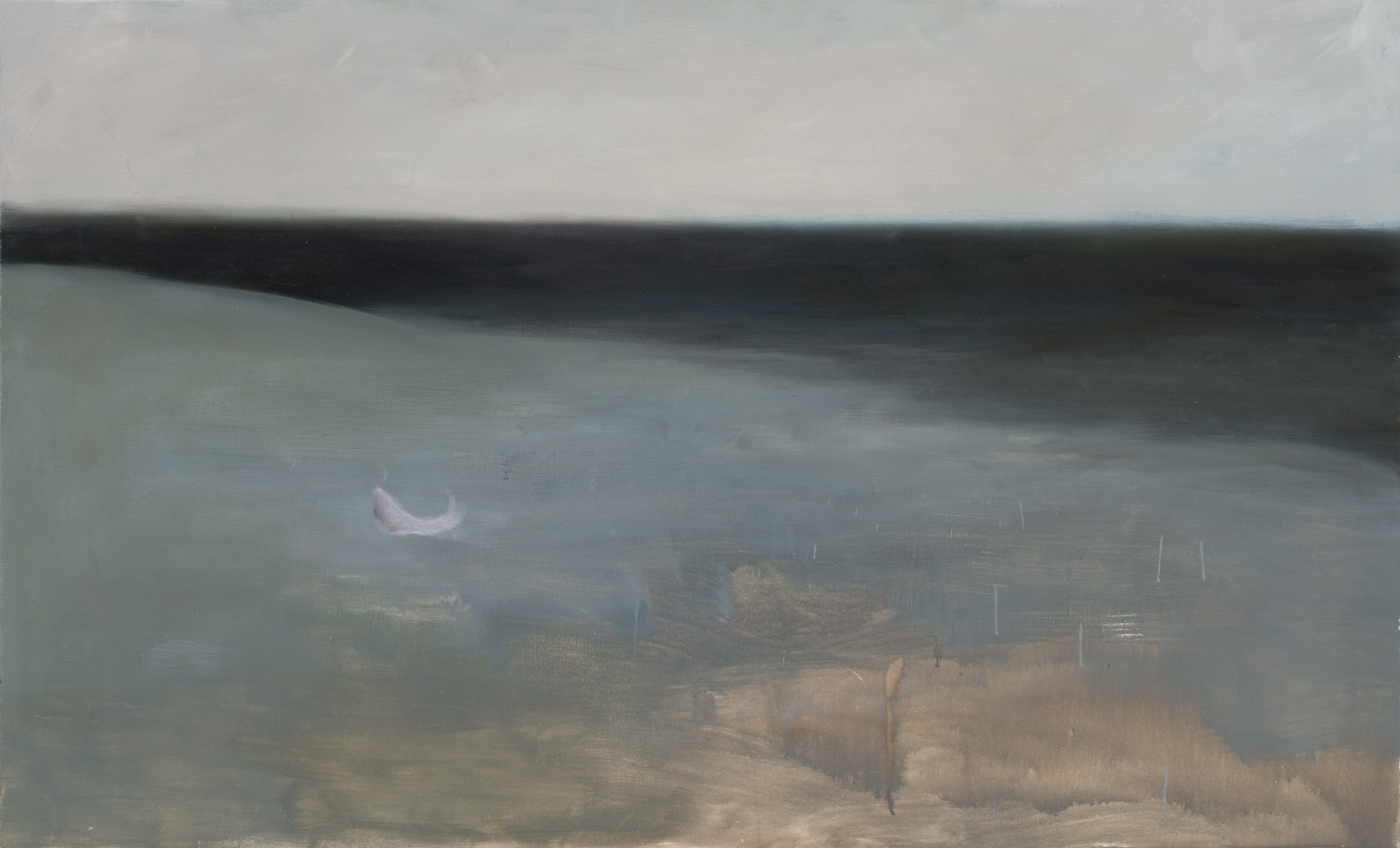 Marina con pez, 2016, óleo sobre lienzo, 89 × 146 cm