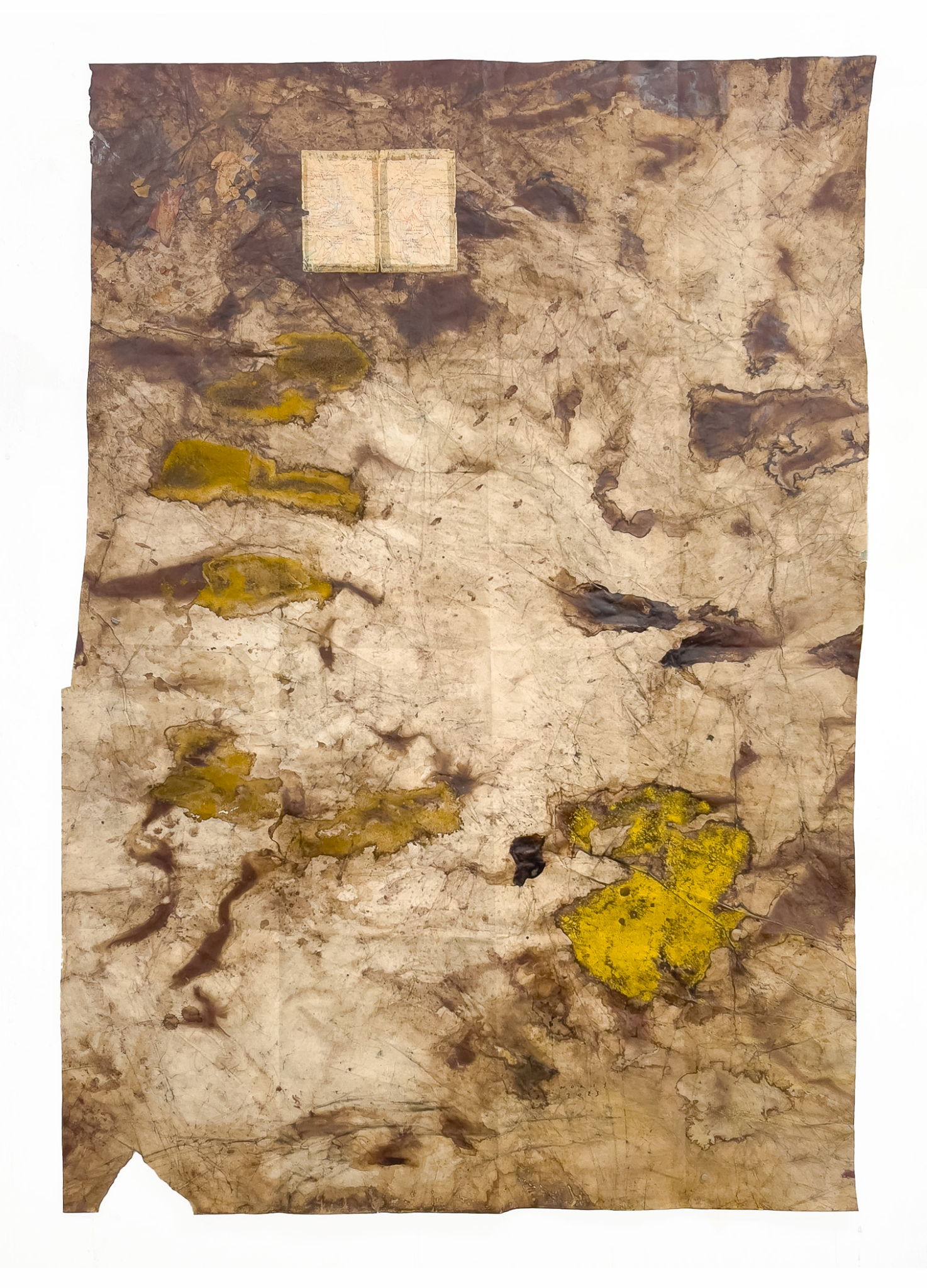 Tagamanent i Vallfornès, Montseny, Catalonia. 2023, 150 × 100 cm, map fragment, walnut ink stain, vinyl colours and turmeric on paper