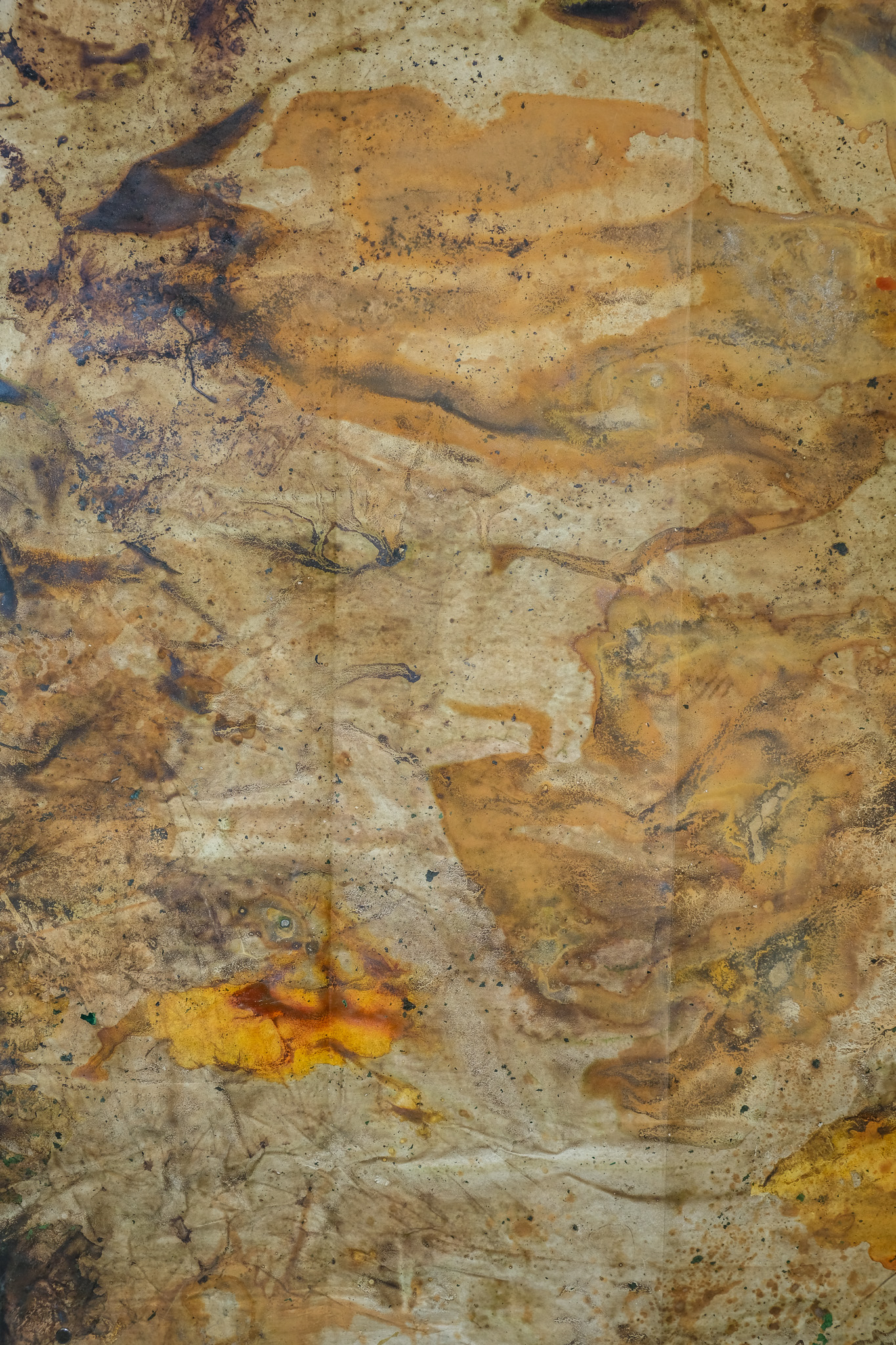 Dryland. 2025 (detail)