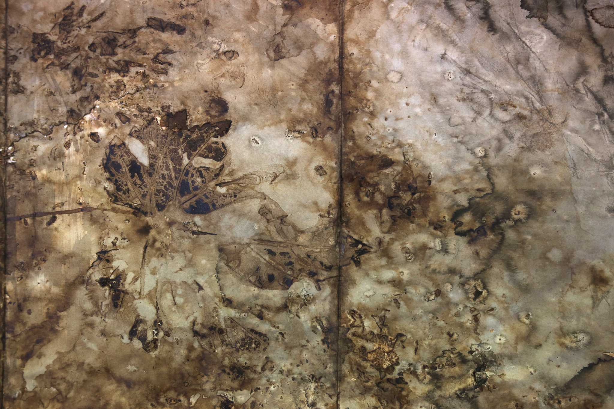 Memorie e impronte della Coma de Burg