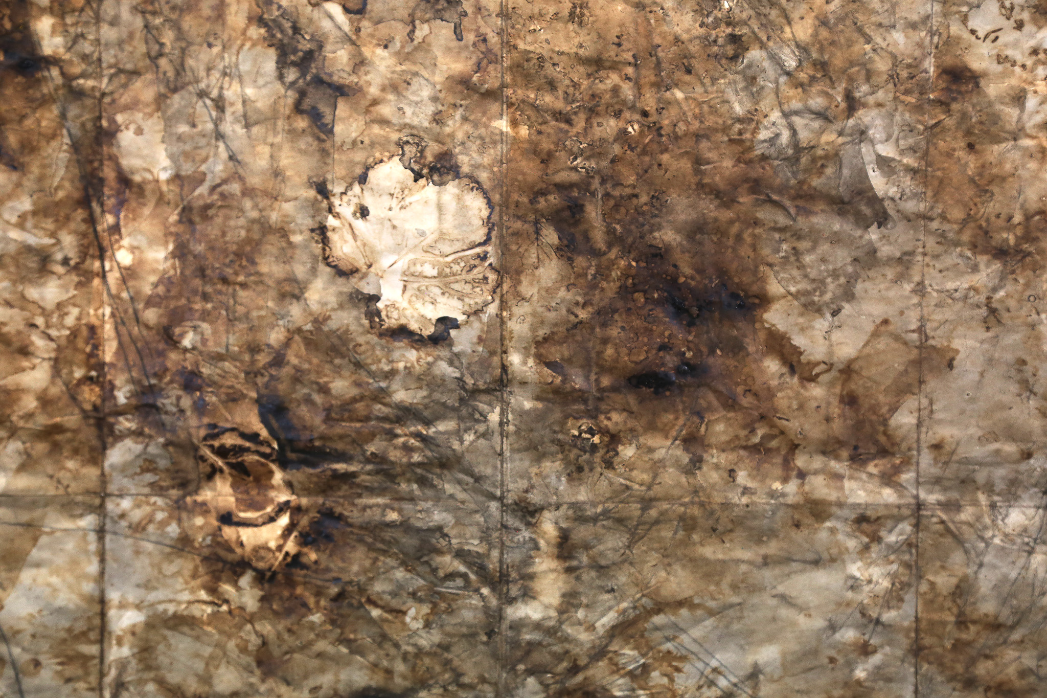 Memories and Imprints of the Coma de Burg.Water from the Farrera spring, natural elements, walnut stain and Chinese ink on paper, 150 × 100 cm