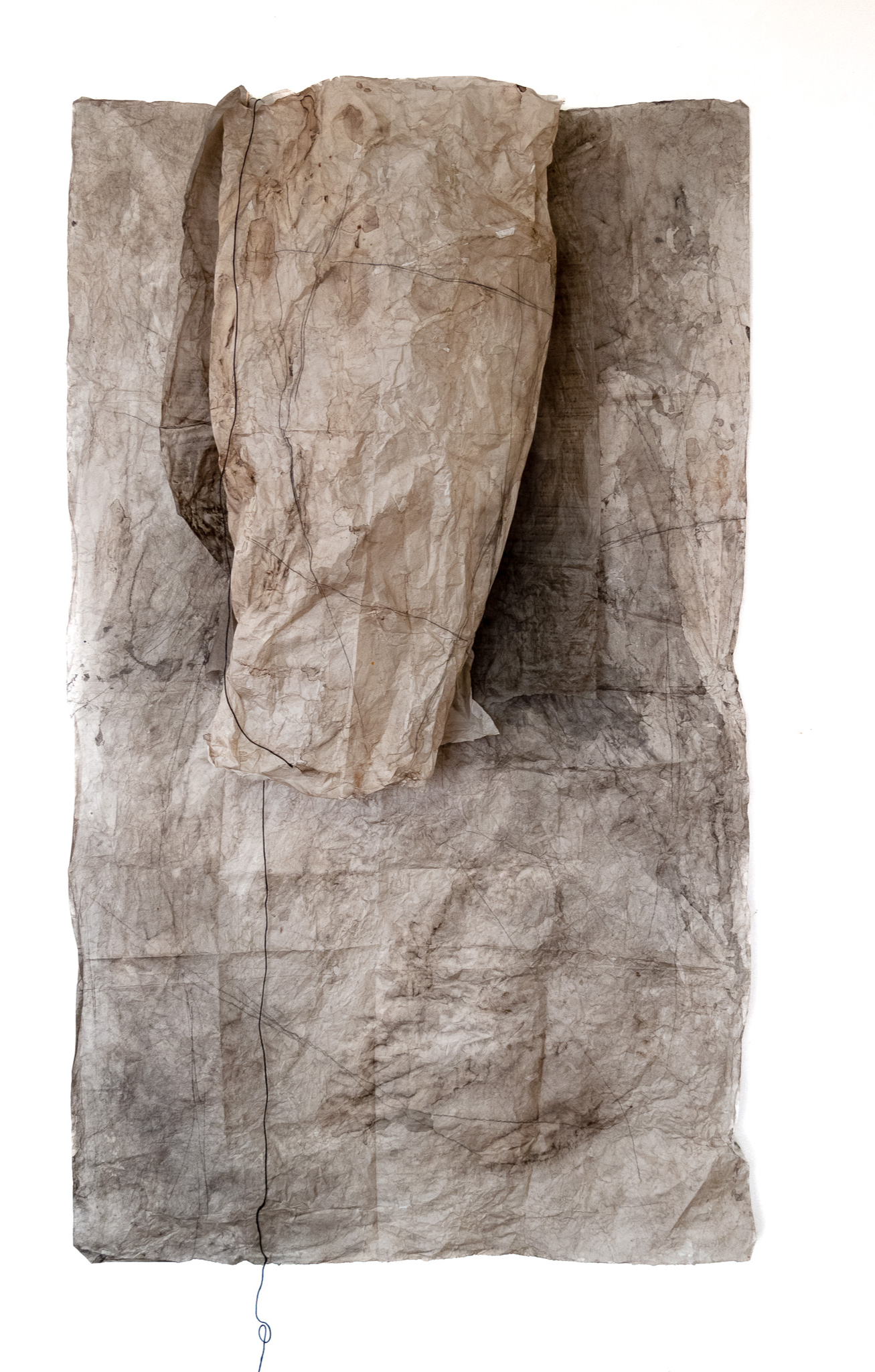 Map, Skin I, 2018, mixed media on paper, magnets, 165 × 100 × 23 cm