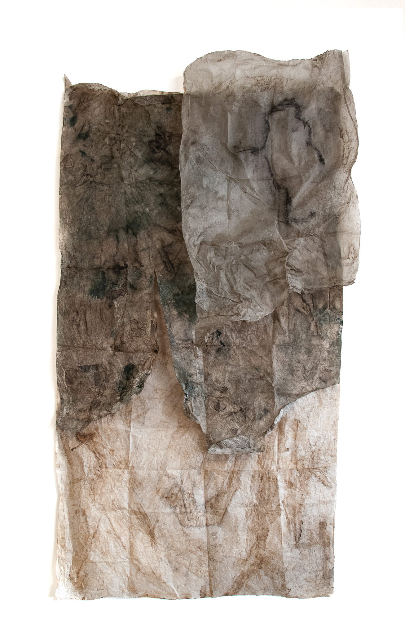 Map, Skin II, 2018, mixed media on paper, magnets, 195 × 97 × 30 cm