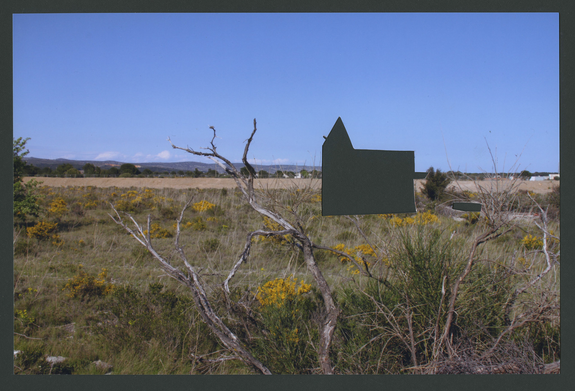 Fotografia intervenuta