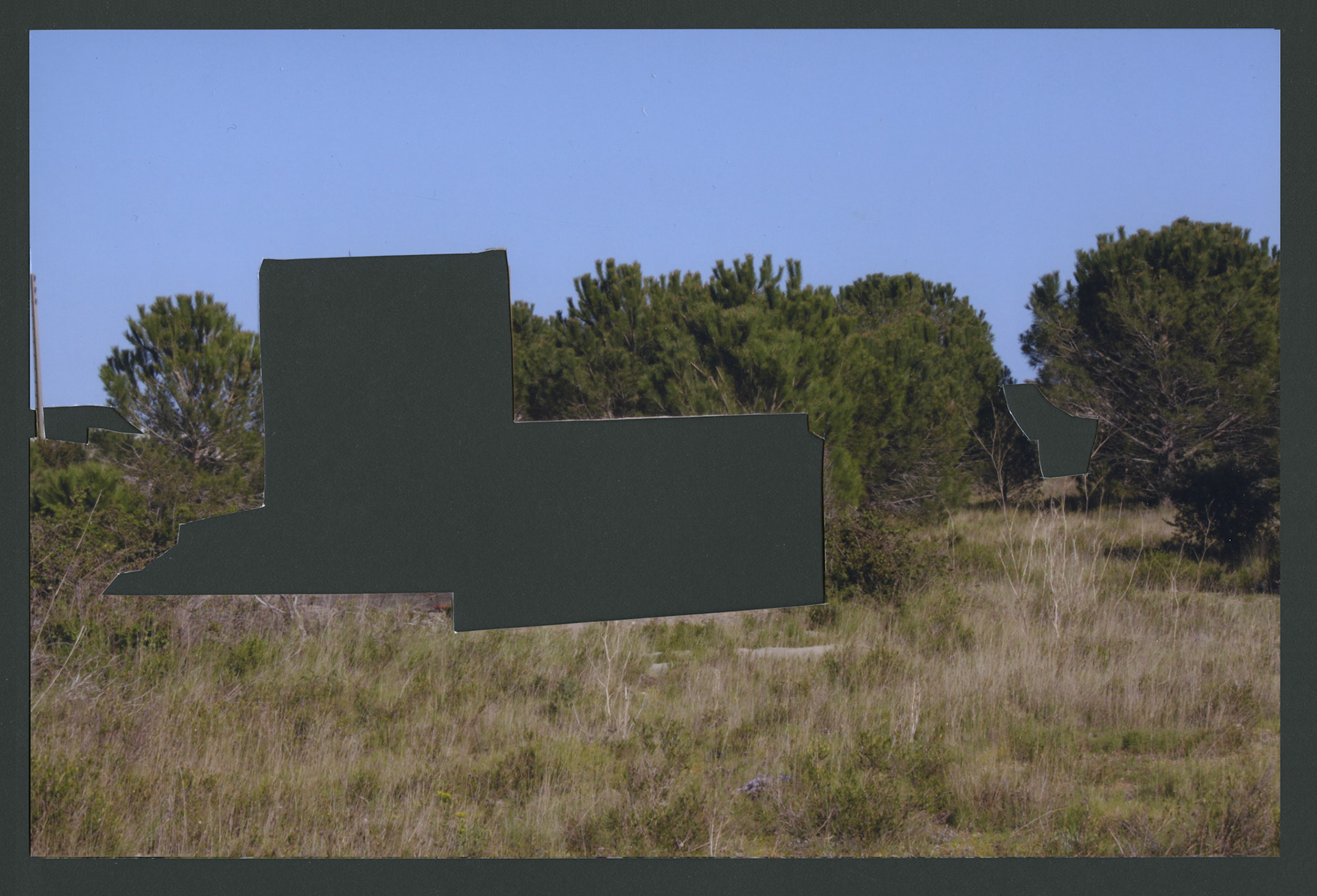 Fotografia intervenuta