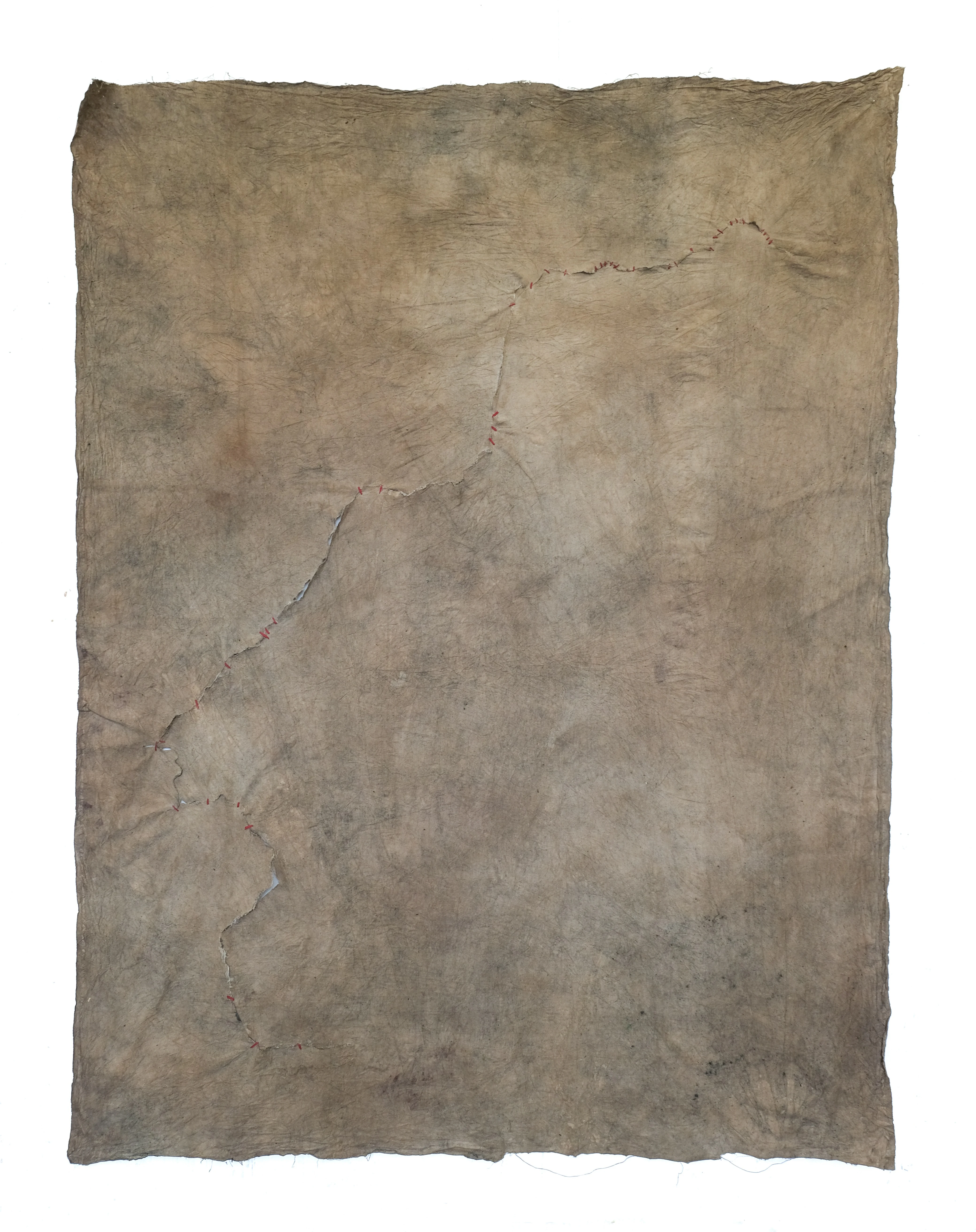 Sutura (43 bridges), natural pigments and vinyl glue, 193 × 145 cm