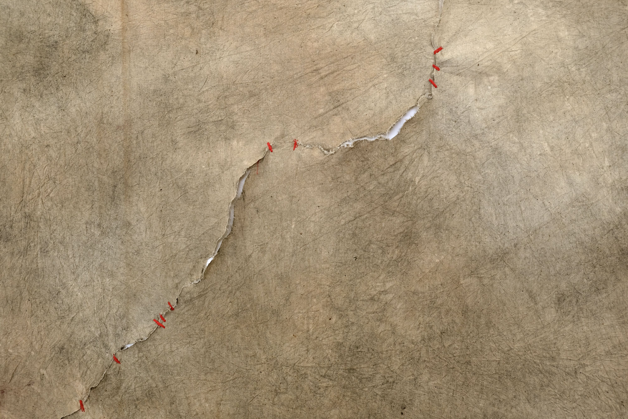 Sutura (43 ponti), pigmenti naturali e colla vinilica, 193 × 145 cm