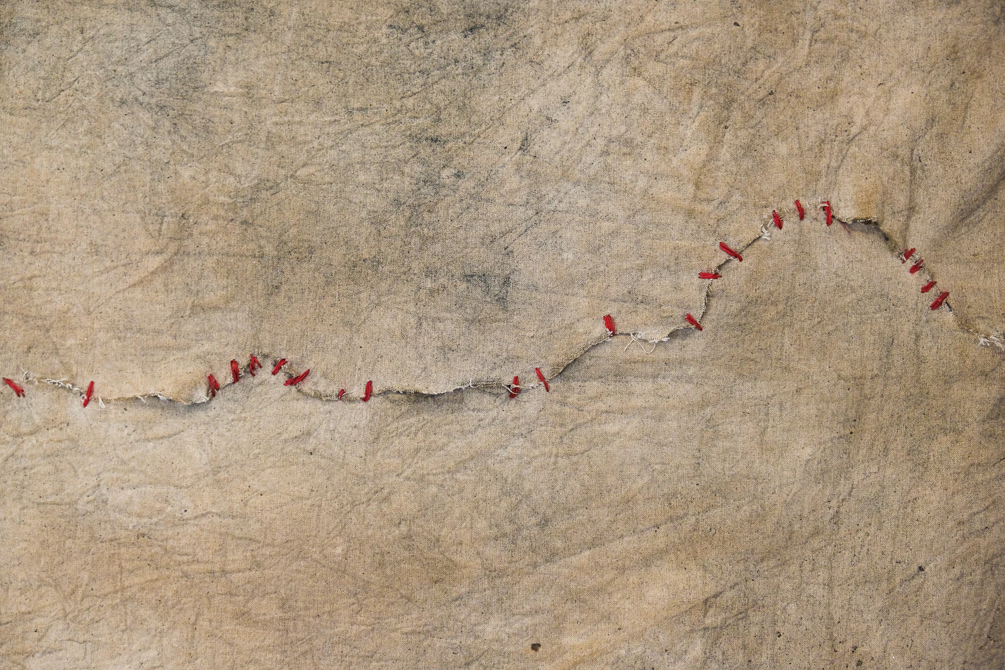 Sutura (43 ponti), pigmenti naturali e colla vinilica, 193 × 145 cm