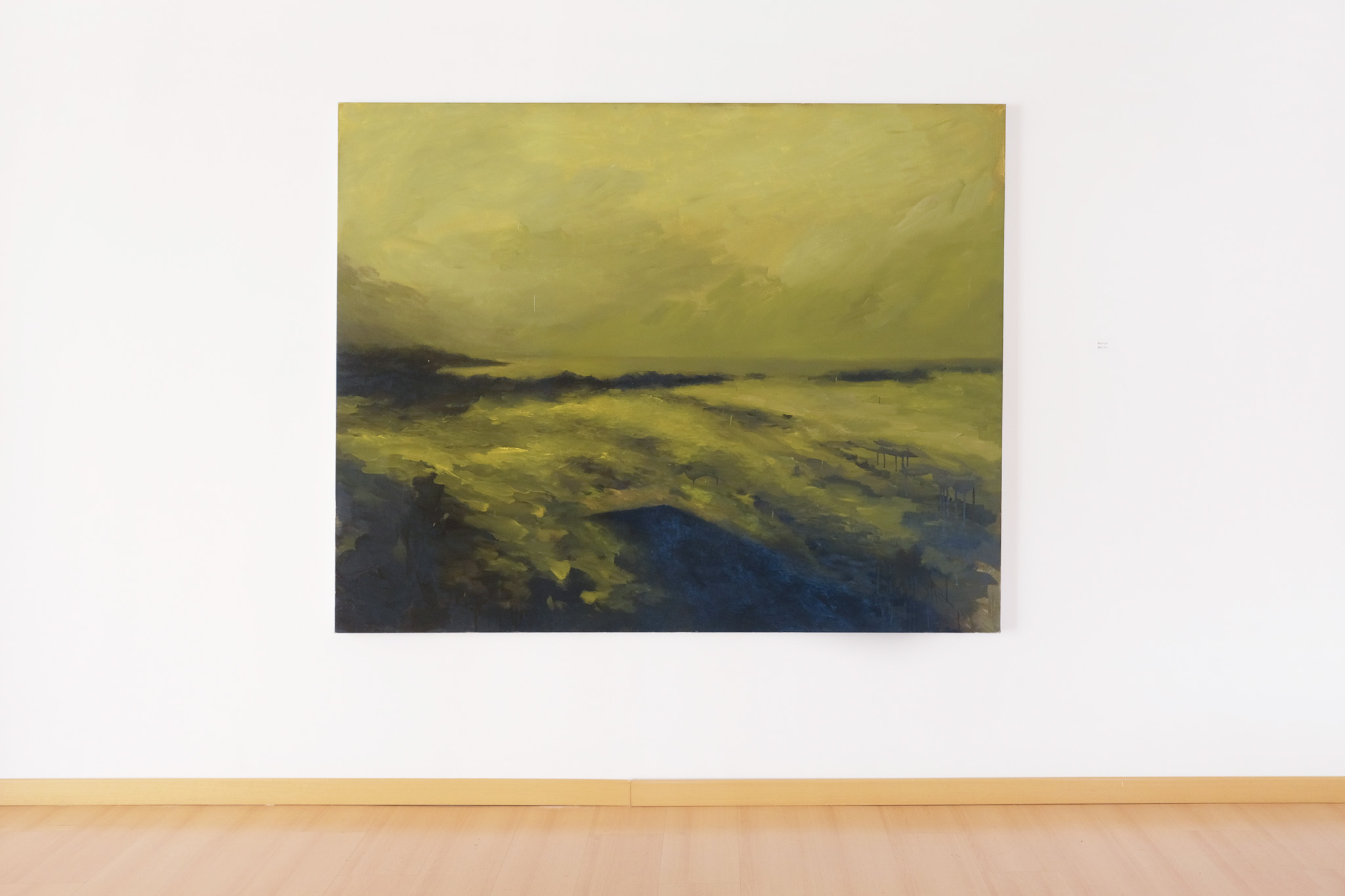 «Allá donde las playas rotas nos muestran el cielo» a la col·lectiva 2024_n1, Piramidón