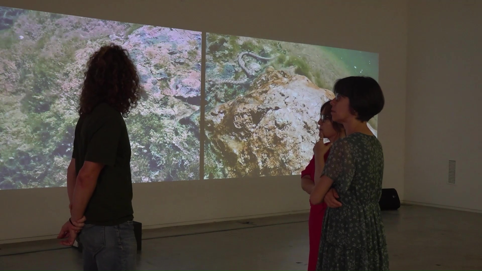 Fotogramma di Canal TE: visitatori davanti alla videoinstallazione di Cos d'Ebre