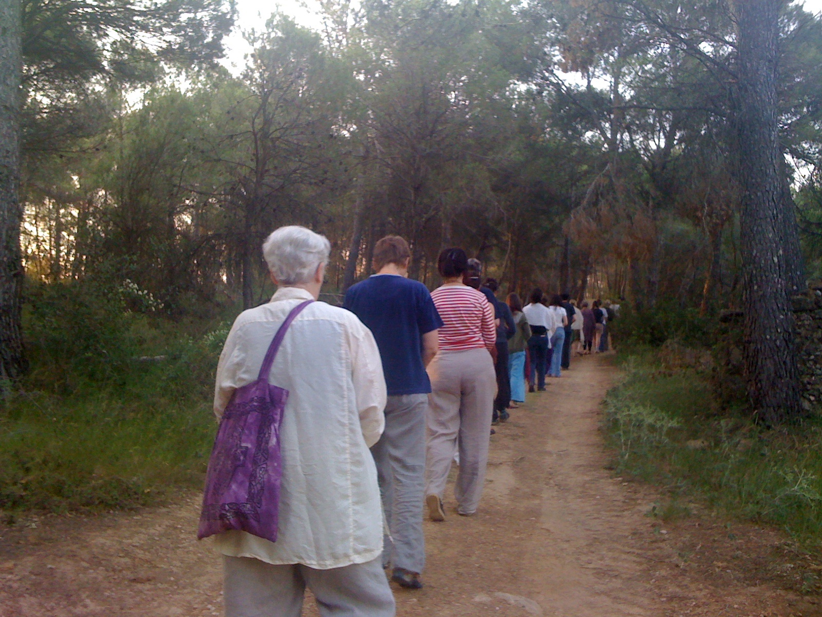 Beca Walter Benjamin