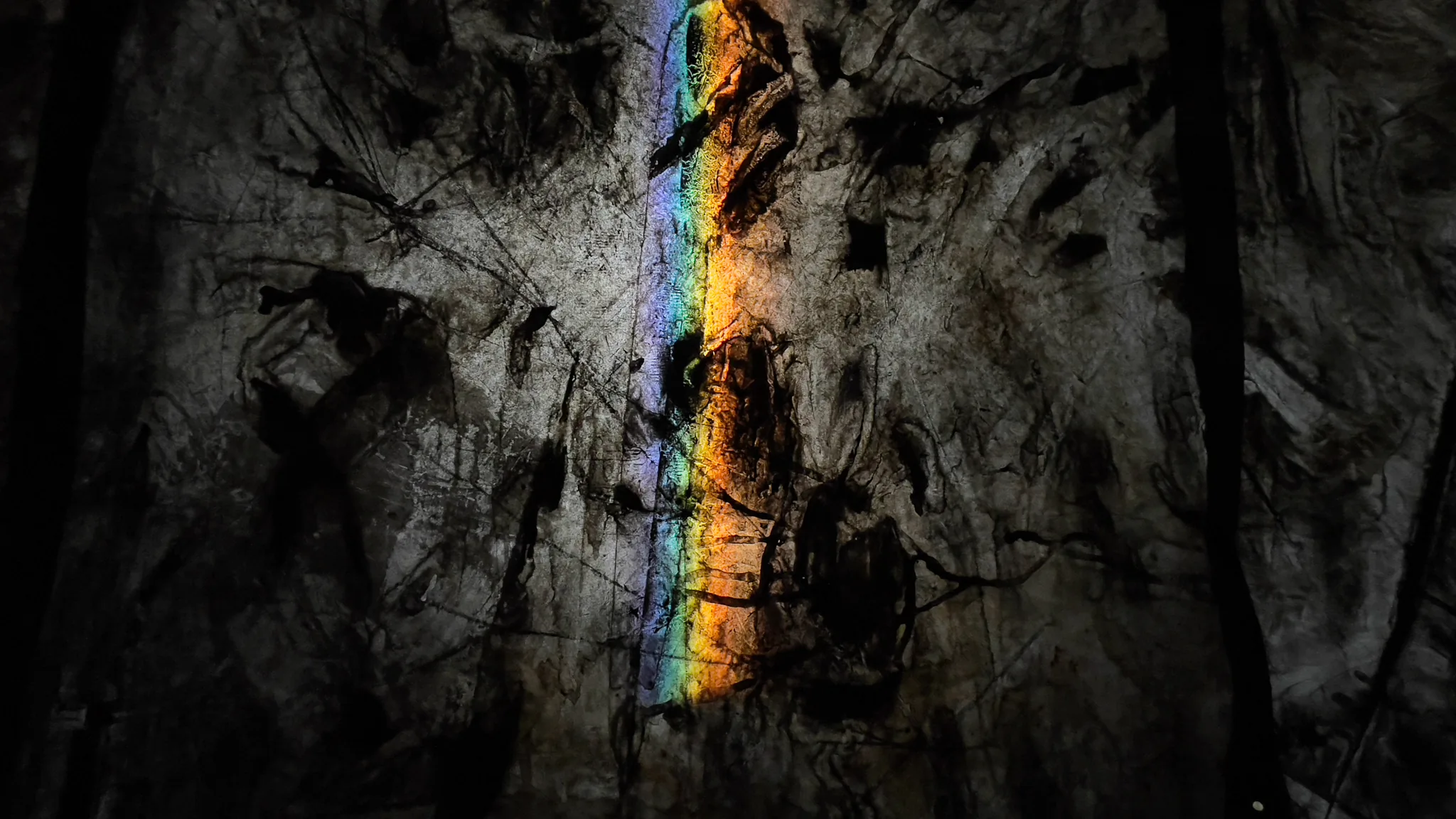 pelldelaterra-farrera4