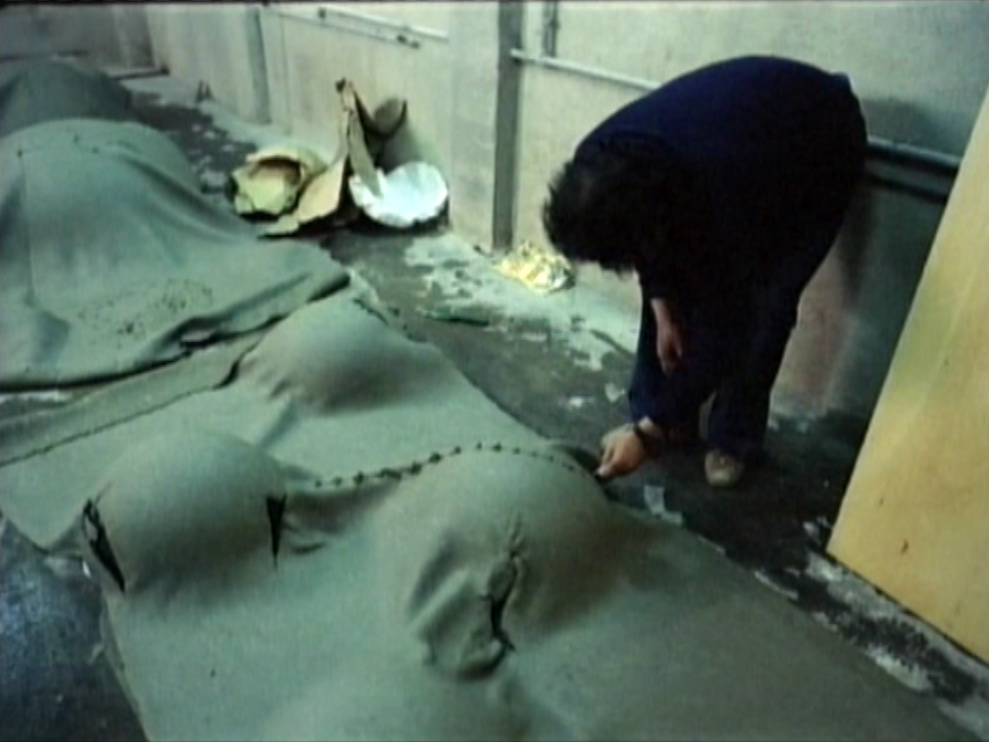 Guinovart, un frammento