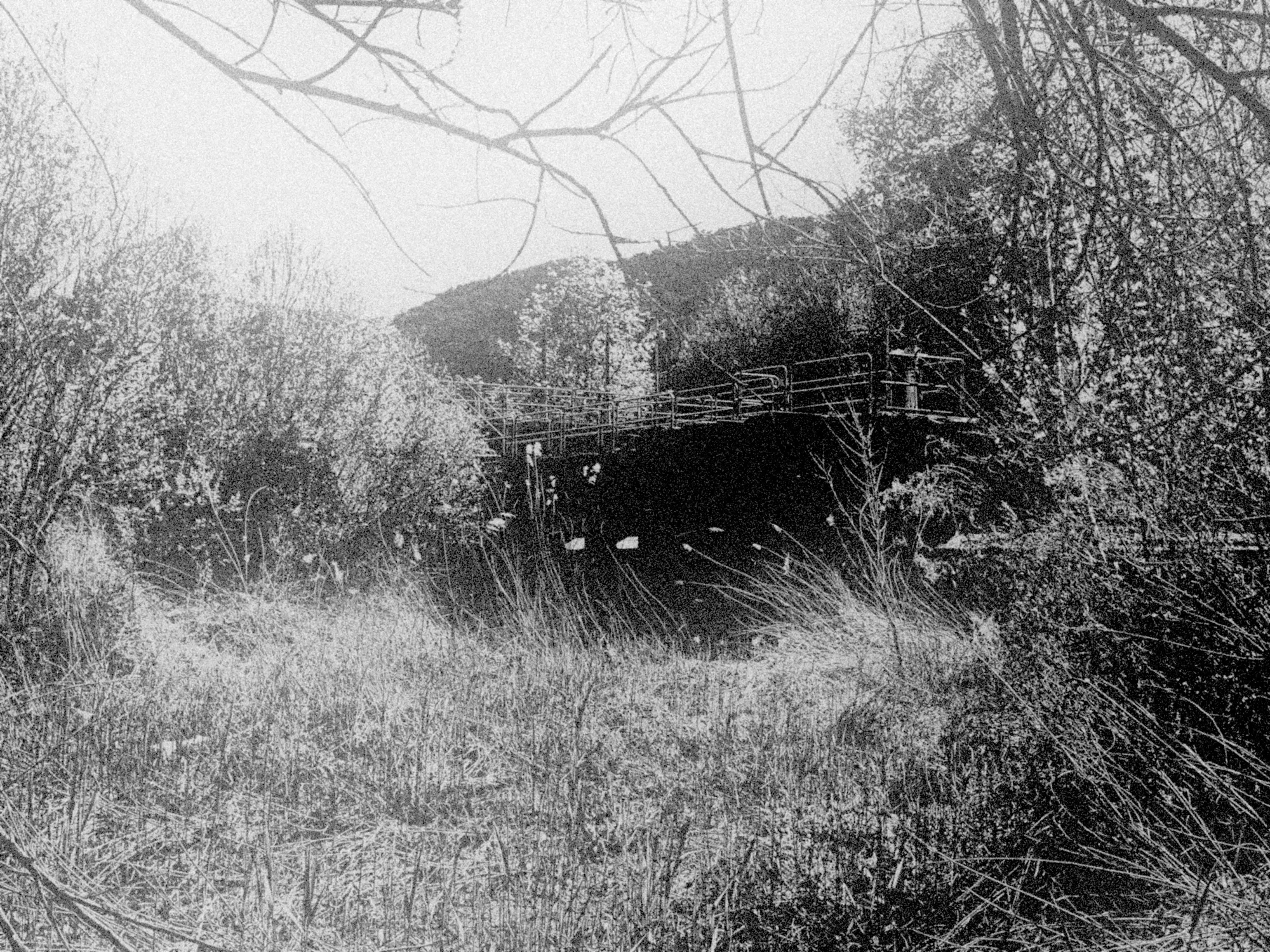 La vora oberta (La orilla abierta)