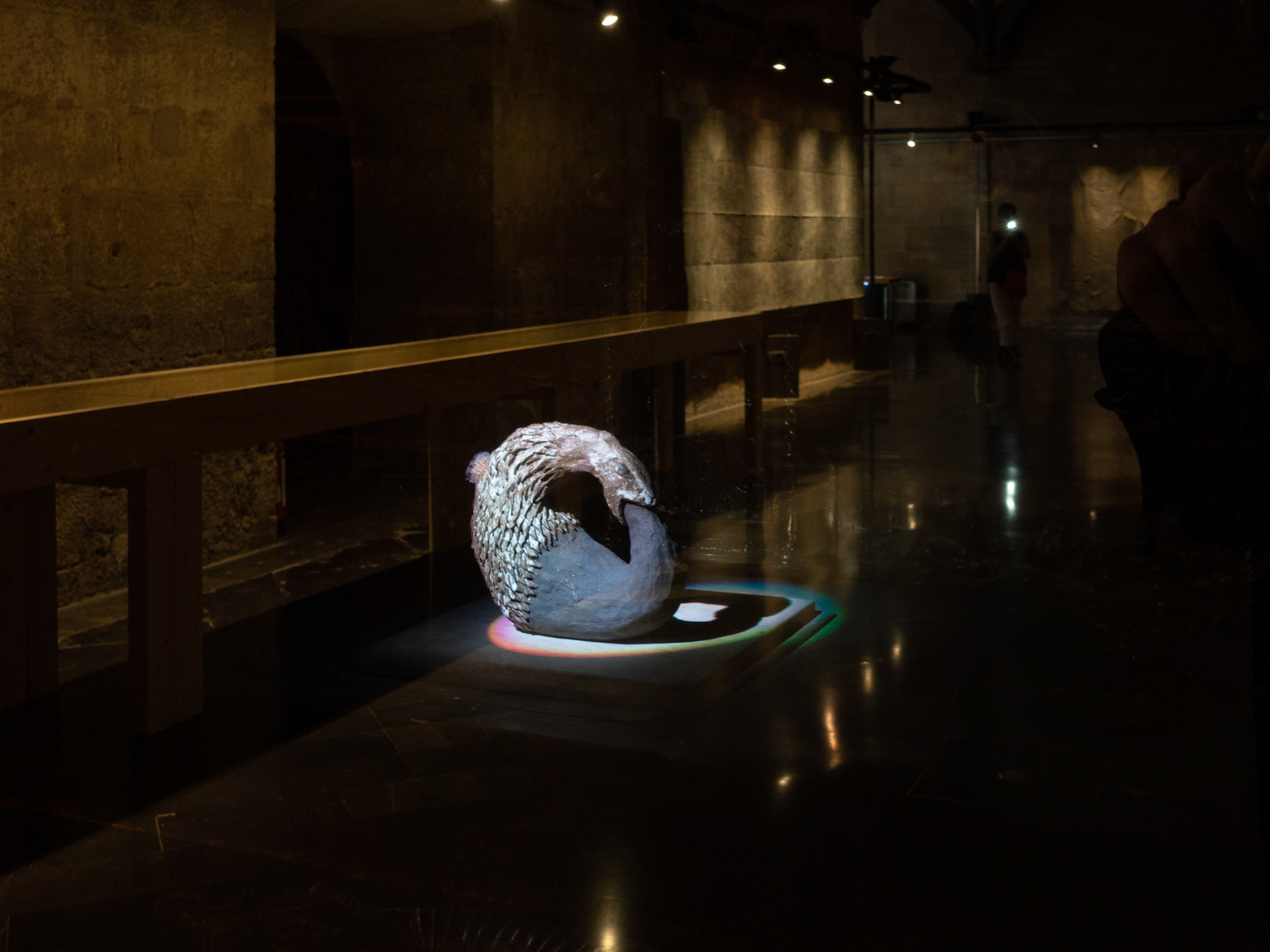 Exhibition "Sequere", Institut d'Estudis Ilerdencs, Lleida, 2023